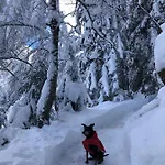 Oskar *