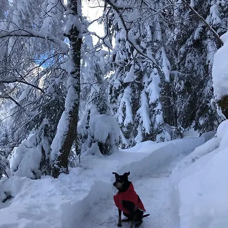 Oskar *